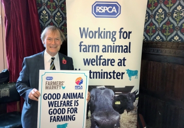 RSPCA Reception 